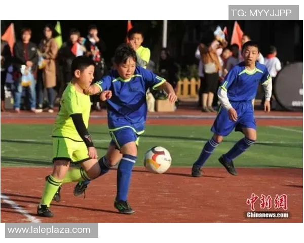 足球财富网小月的精彩瞬间与背后的故事分享